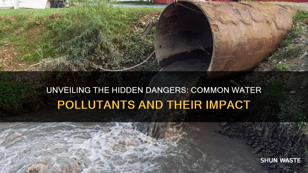 what are common water pollutants