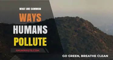 Human Activities Polluting Our Planet