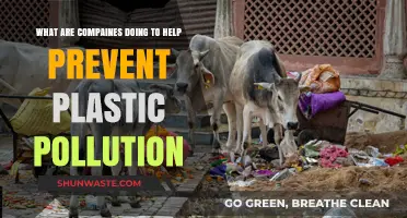 How Companies Are Fighting Plastic Pollution