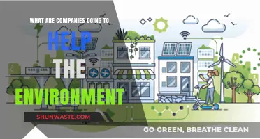 Sustainable Business Practices: How Companies Are Protecting Our Planet