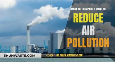 Strategies for Combating Air Pollution: Corporate Initiatives