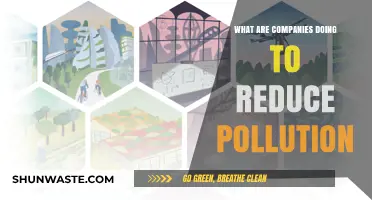 How Businesses Are Tackling Pollution