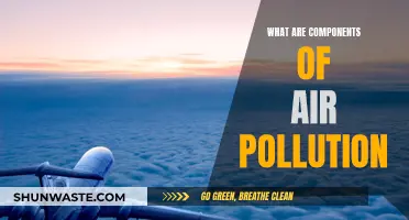 Air Pollution: Understanding Its Complex Components