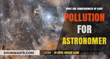 Light Pollution: Astronomers' Bane and Its Impact