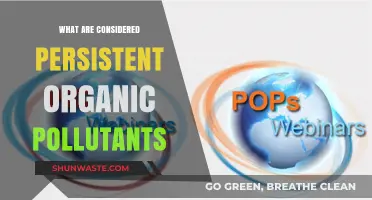 Understanding Persistent Organic Pollutants: Toxic Legacy