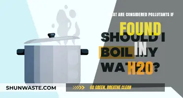 Water Contaminants: What Pollutes Our Drinking Water?