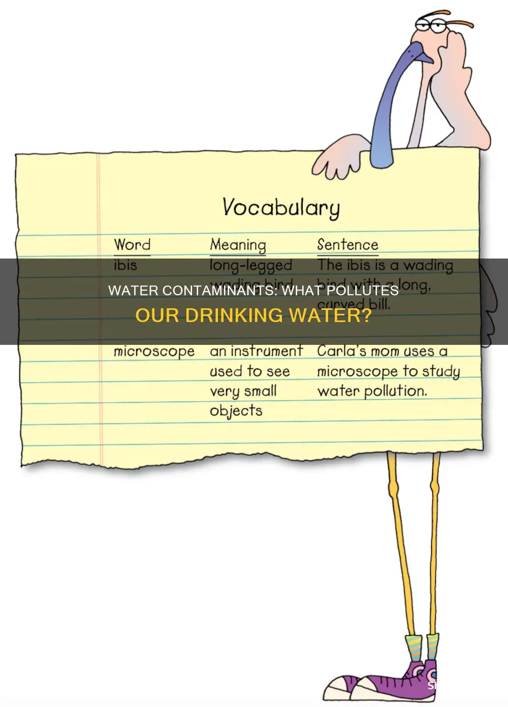 what are considered pollutants if found in h2o