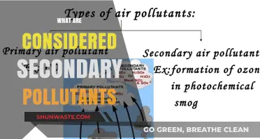 Understanding Secondary Pollutants and Their Sources