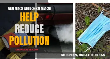 Consumer Choices to Reduce Pollution