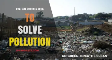 Global Efforts to Combat Pollution
