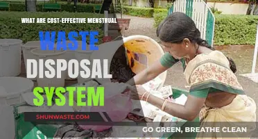 Eco-Friendly Period: Cost-Effective Menstrual Waste Disposal Solutions