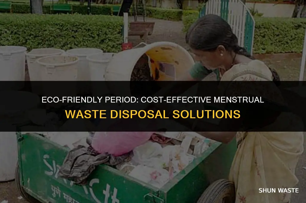 what are cost-effective menstrual waste disposal system