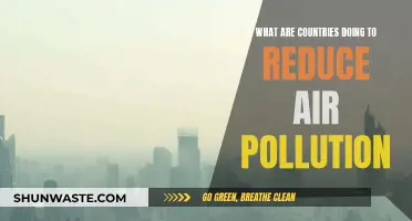 Global Efforts to Reduce Air Pollution