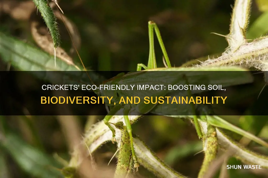 what are crickets good for the environment