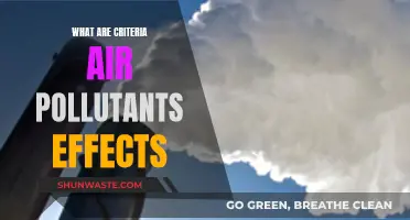 Air Pollutants: Harmful Effects and Criteria Insights