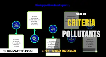 Understanding Criteria Air Pollutants: What, Why, and How?