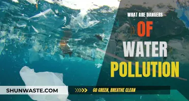 Unveiling the Hidden Dangers: Water Pollution's Impact on Our World