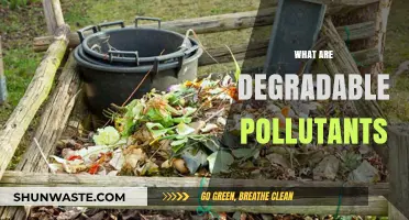 Degradable Pollutants: Understanding Their Impact and Solutions