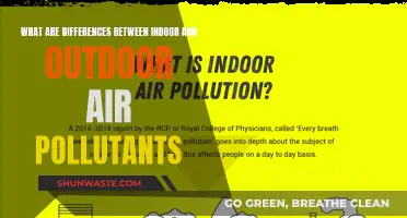 Air Quality: Indoor vs. Outdoor Pollutants