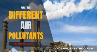 Air Pollutants: Understanding the Different Types of Contaminants
