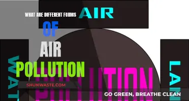 Air Pollution: Understanding Its Many Forms and Faces