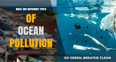 The Ocean's Plight: Pollution's Many Forms