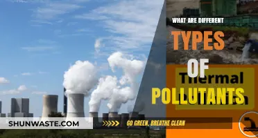 Air, Water, and Soil: Understanding Pollutant Types