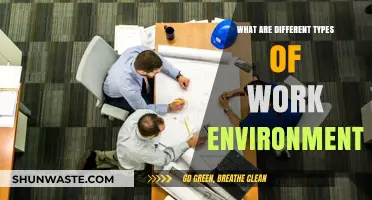 Exploring Diverse Work Environments: Types, Cultures, and Productivity Dynamics
