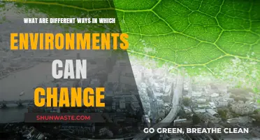 Exploring Dynamic Shifts: How Environments Evolve and Transform Over Time