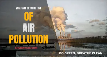 Air Pollution: Understanding the Different Types and Their Impact