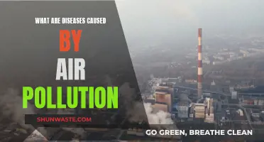 Unveiling the Health Hazards: Diseases Linked to Air Pollution