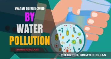 Unseen Dangers: Water Pollution's Impact on Human Health