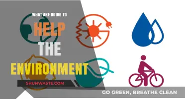 Sustainable Steps: Our Actions to Protect and Preserve the Environment