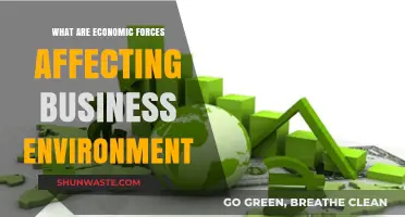 Key Economic Forces Shaping the Modern Business Environment Explained