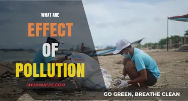 Pollution's Impact: Understanding the Devastating Effects