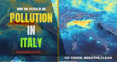 Air Pollution's Impact on Italy's Environment and Health