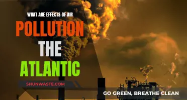 Air Pollution's Devastating Effects on the Atlantic