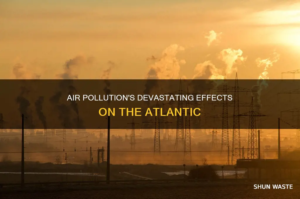 what are effects of air pollution the atlantic