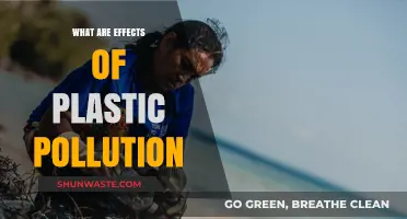 Plastic Pollution's Impact: Devastating Effects on Nature