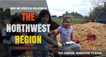 The Northwest's Pollution: A Health and Environmental Crisis