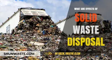 The Impact of Solid Waste Disposal on Our Environment