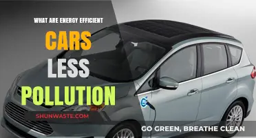 Energy-Efficient Cars: Less Pollution, More Benefits