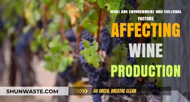 Exploring Environmental and Cultural Influences on Global Wine Production