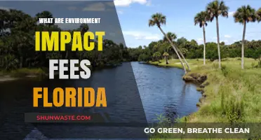 Understanding Florida's Environmental Impact Fees: Costs, Purpose, and Implications