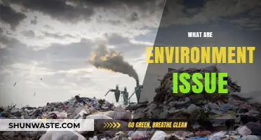 The Green Crisis: Understanding Environmental Issues