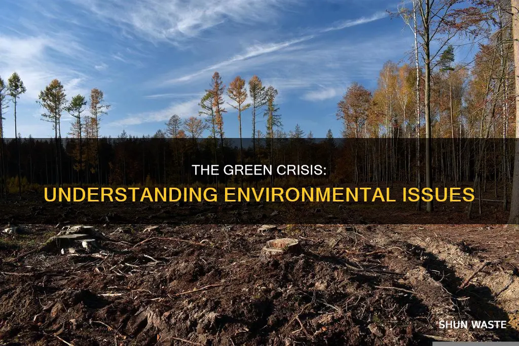 what are environmental issue