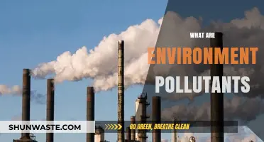 Understanding Environmental Pollutants: Harmful Toxins in Our Environment
