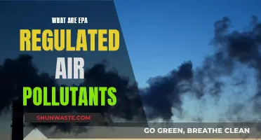 EPA-Regulated Air Pollutants: What Are They?