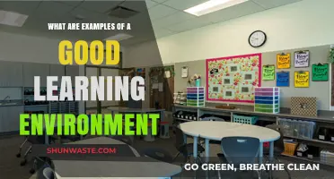 Creating Effective Learning Spaces: Examples of Ideal Educational Environments