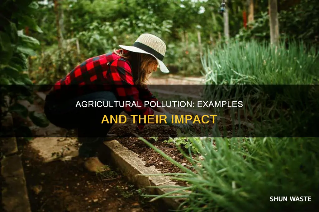 what are examples of agricultural pollution